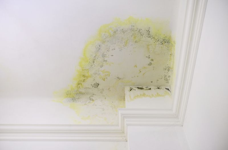 Crown Molding Painting in Waco, TX