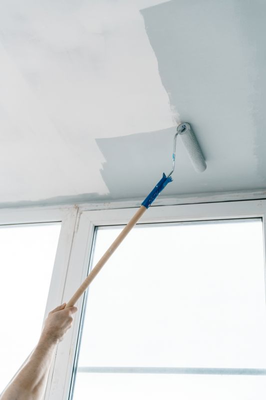 House Ceiling Painting in Kansas City, KS