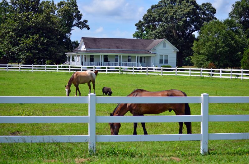 Livestock Fence Painting in Waco, TX