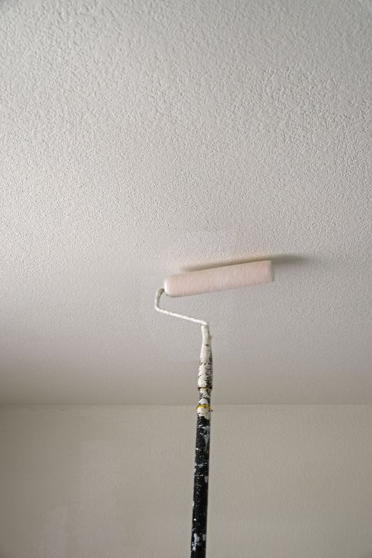Stucco Ceiling Painting in Kansas City, KS
