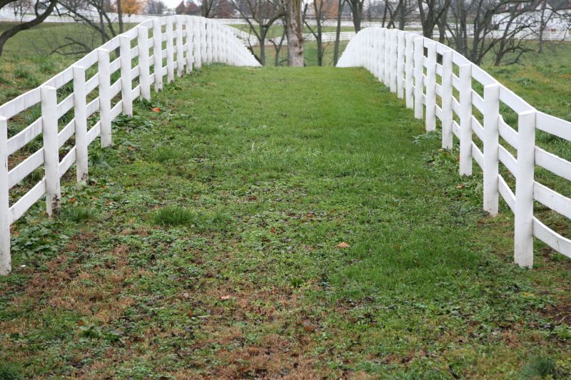 Wire Fence Painting in Waco, TX