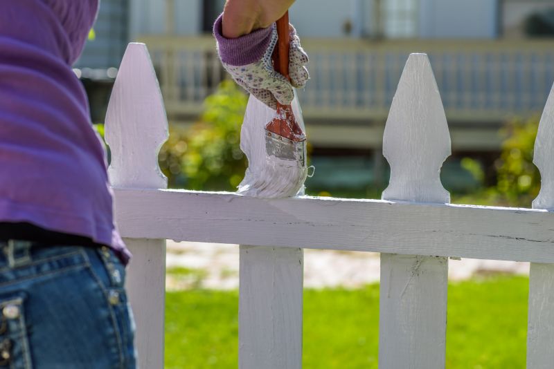 Wire Fence Painting in Waco, TX