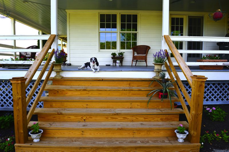 Outdoor Stairs Painting in Fort Collins, CO